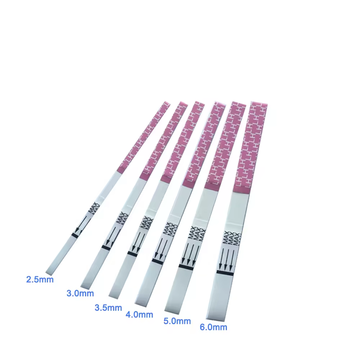 urine pregnancy strip